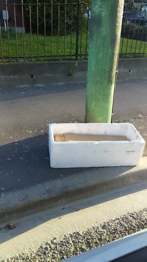 Rubbish/Recycling, a report photo