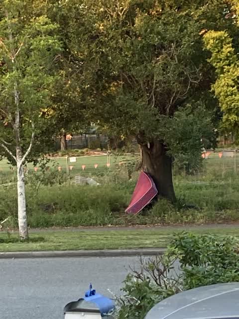 Rubbish/Recycling, a report photo