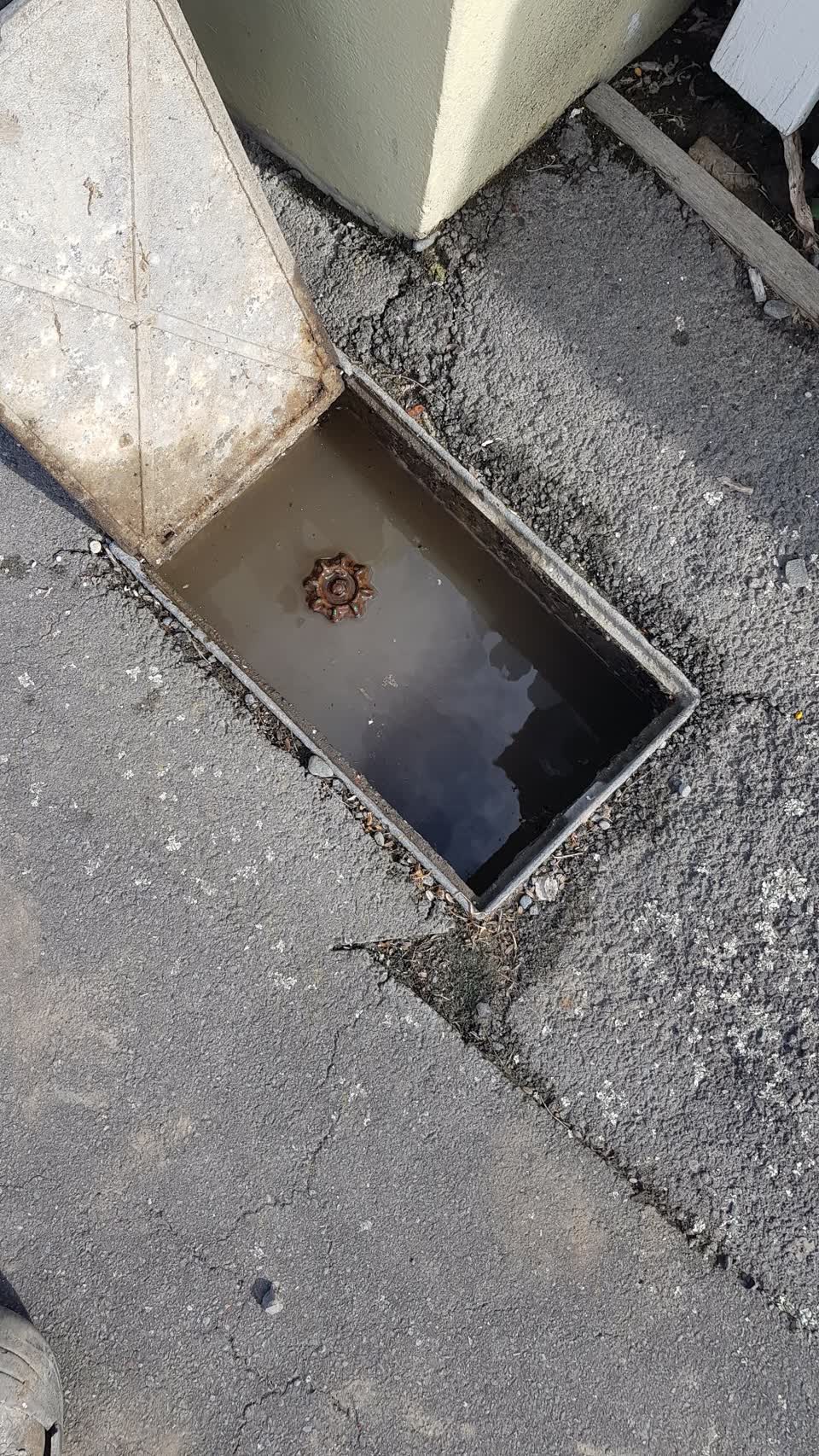 The photograph attached to this water leak report