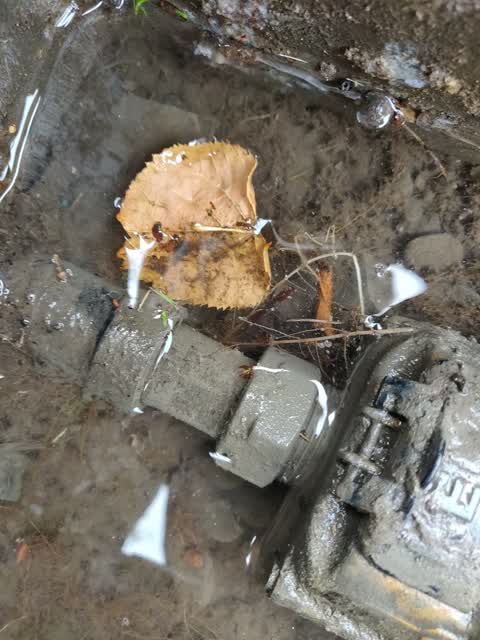 Water Leak, a report photo