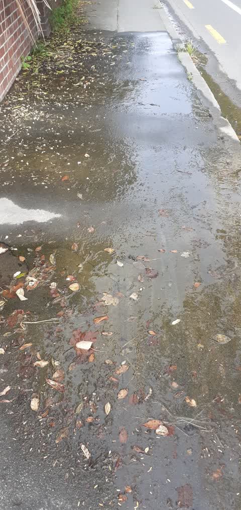 Water Leak, a report photo