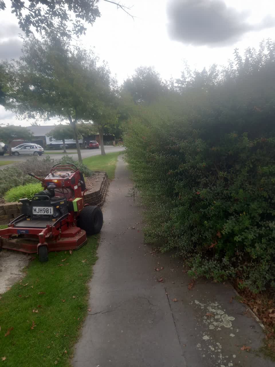 The photograph attached to this parks report