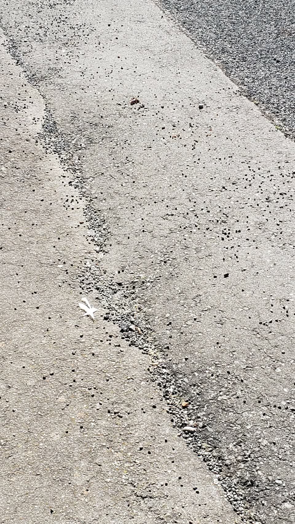 The photograph attached to this roading/streets report