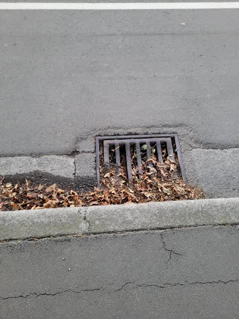 Wastewater/Stormwater, a report photo