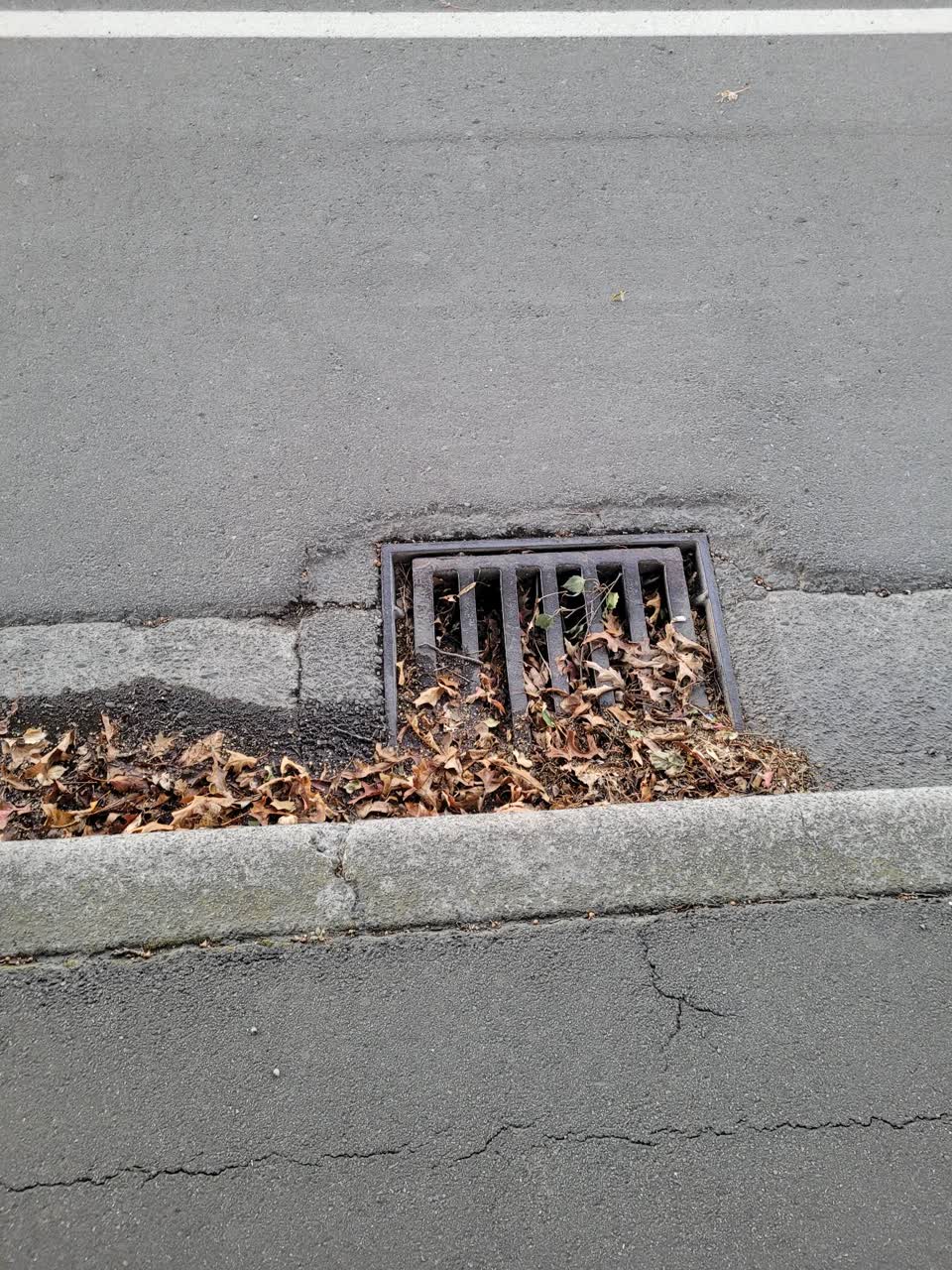 The photograph attached to this wastewater/stormwater report