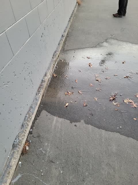 Water Leak, a report photo