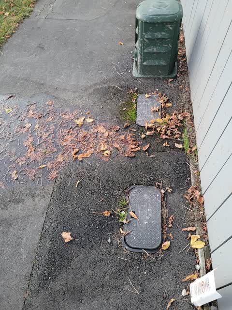 Water Leak, a report photo