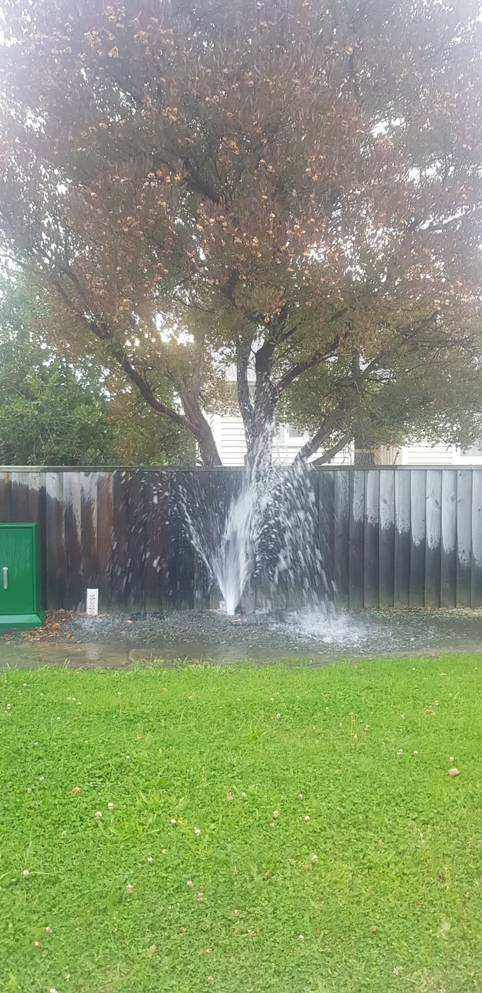 The photograph attached to this sewer - leak / blockage report
