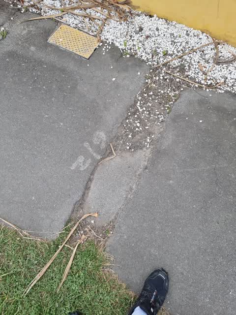 Roading/Streets, a report photo