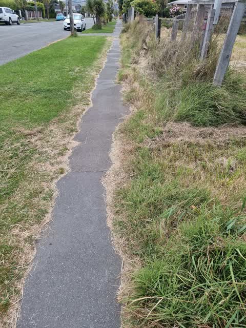 Roading/Streets, a report photo