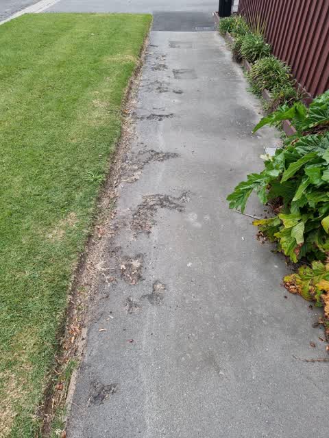 Roading/Streets, a report photo