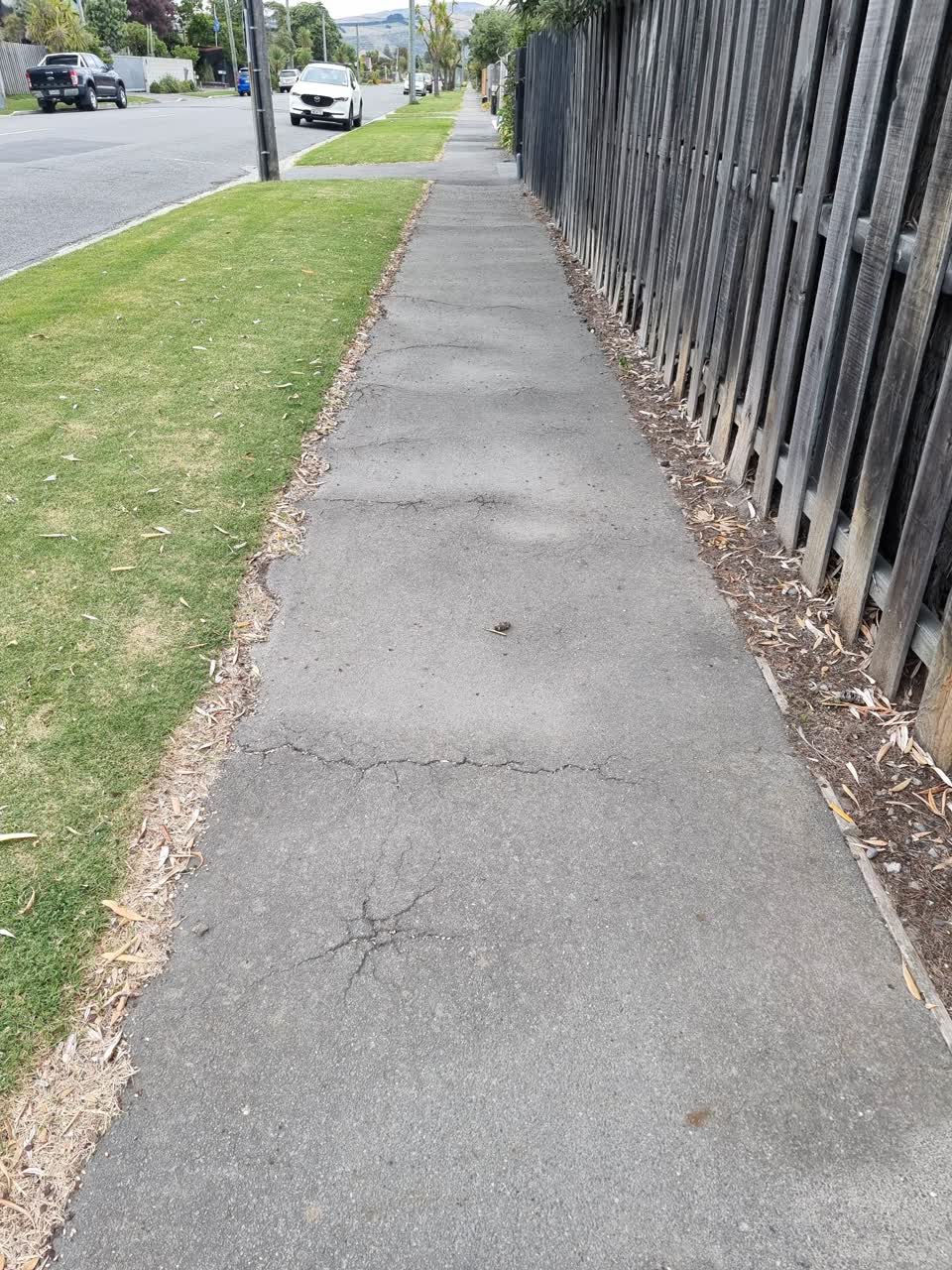 The photograph attached to this roading/streets report
