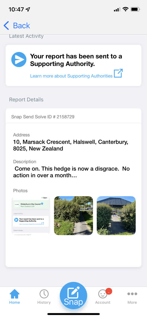 Parks, a report photo