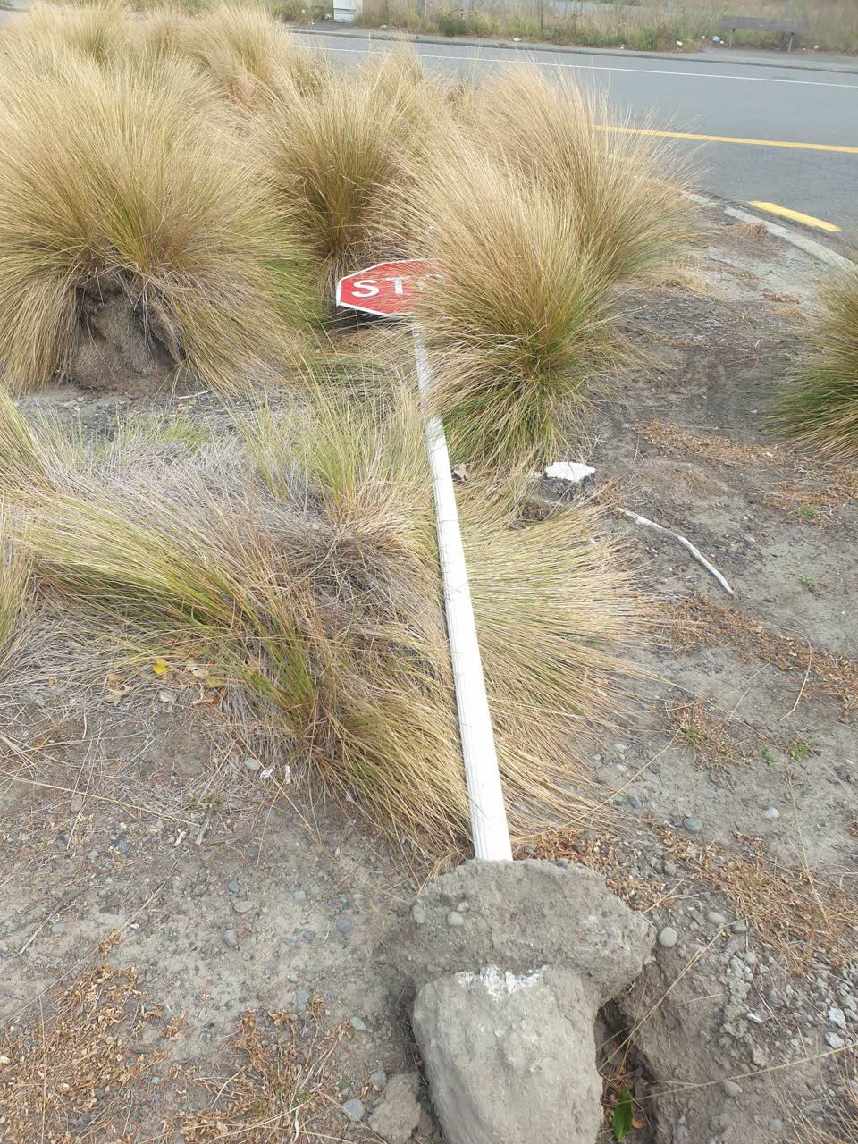 The photograph attached to this roading/streets report