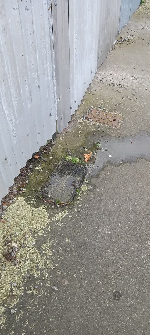 Water Leak, a report photo