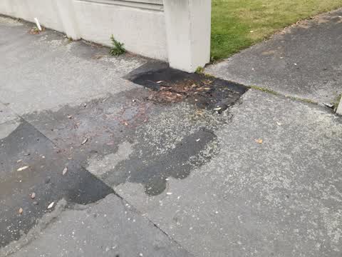 Water Leak, a report photo