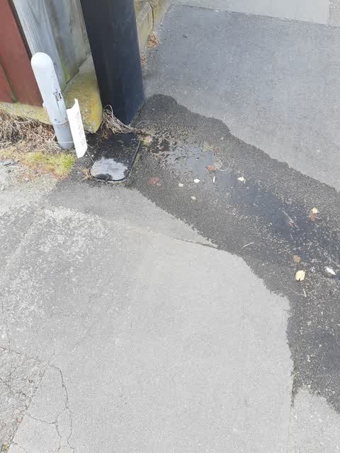 Water Leak, a report photo