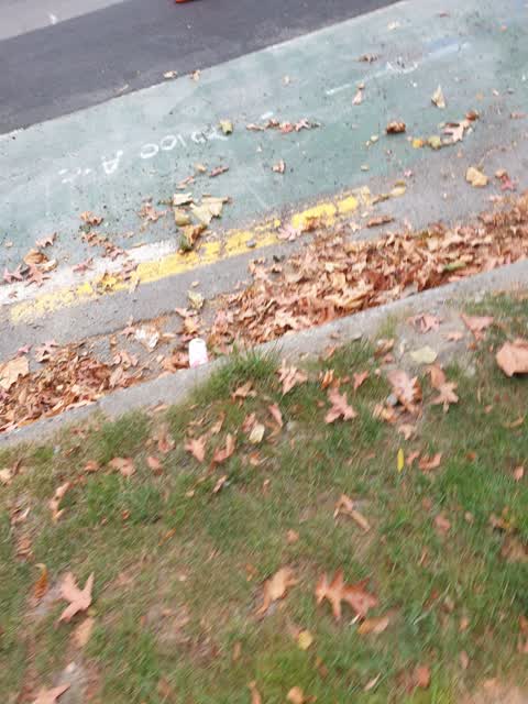 Rubbish/Recycling, a report photo