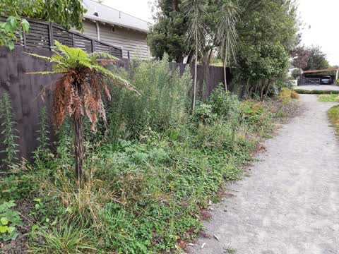 Parks, a report photo