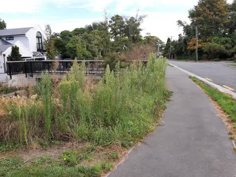 Parks, a report photo