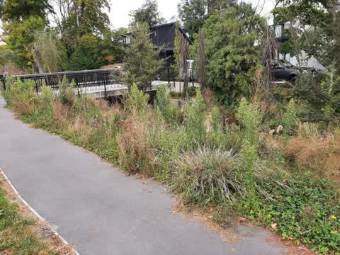 Parks, a report photo