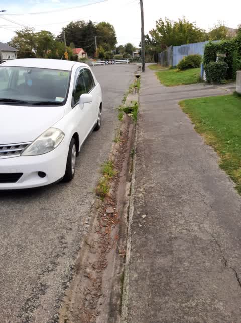 Roading/Streets, a report photo