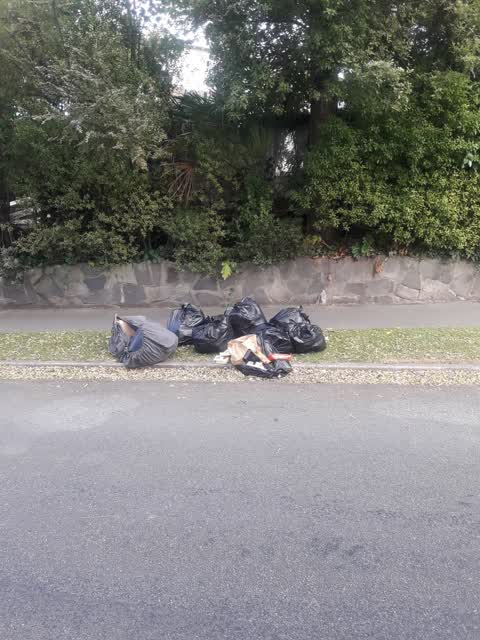 Roading/Streets, a report photo