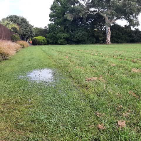 Water Leak, a report photo