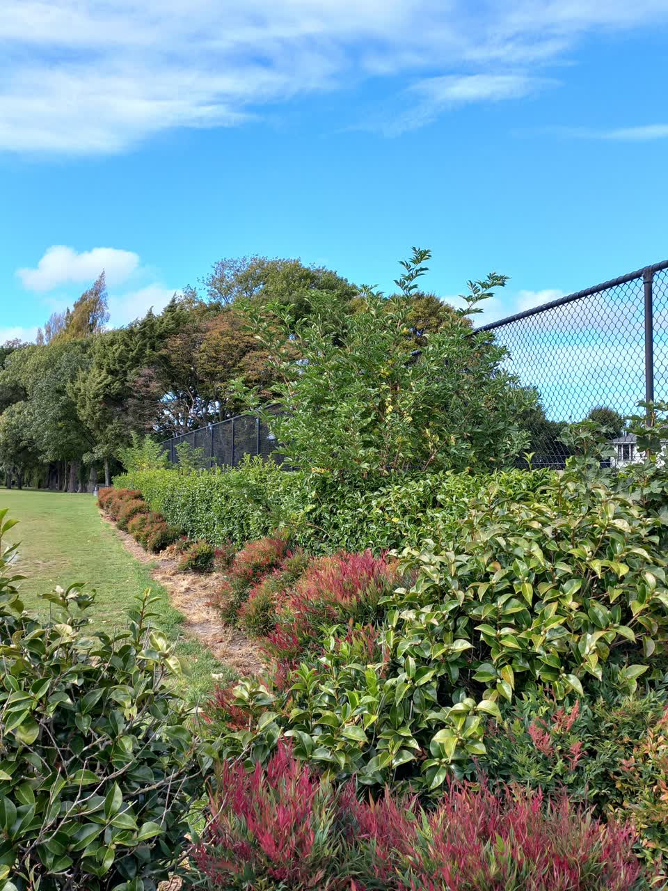 The photograph attached to this parks report