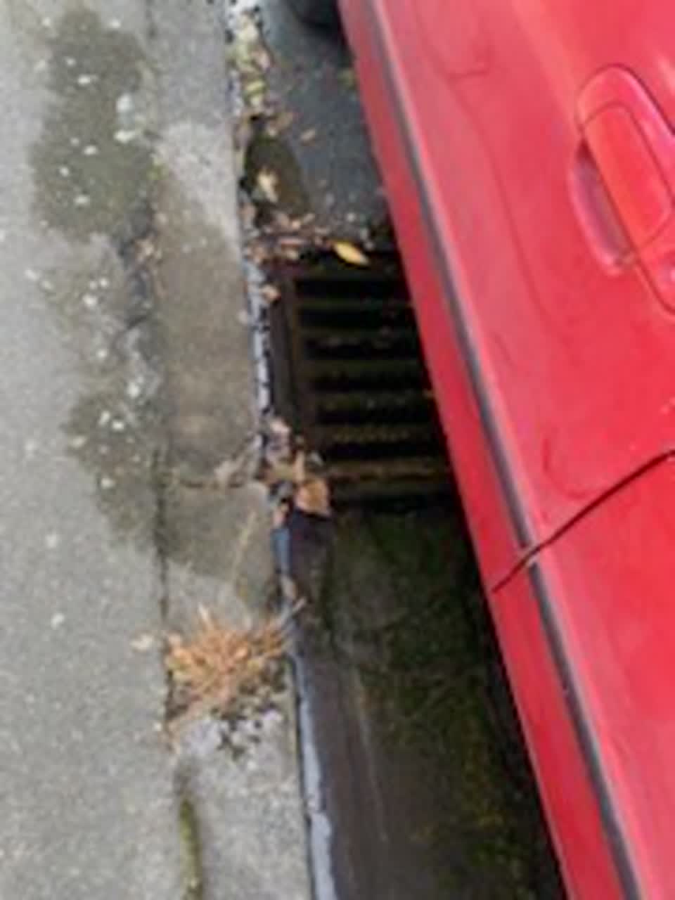 The photograph attached to this wastewater/stormwater report