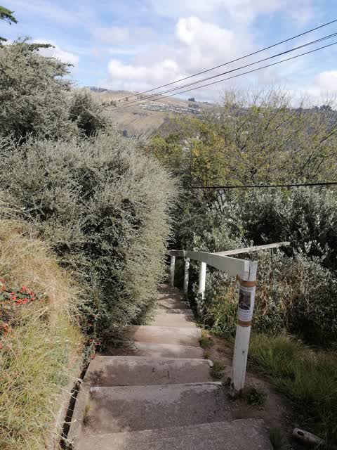 Parks, a report photo