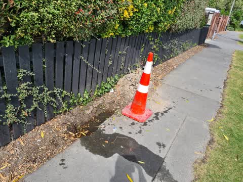Water Leak, a report photo
