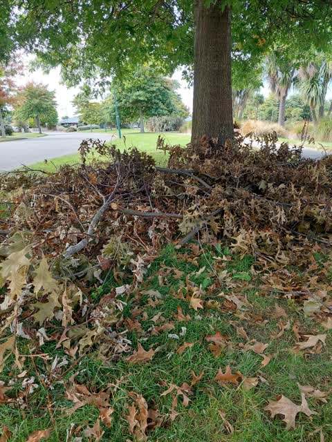 Parks, a report photo