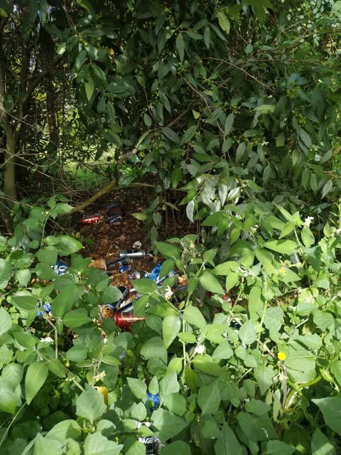 Rubbish/Recycling, a report photo