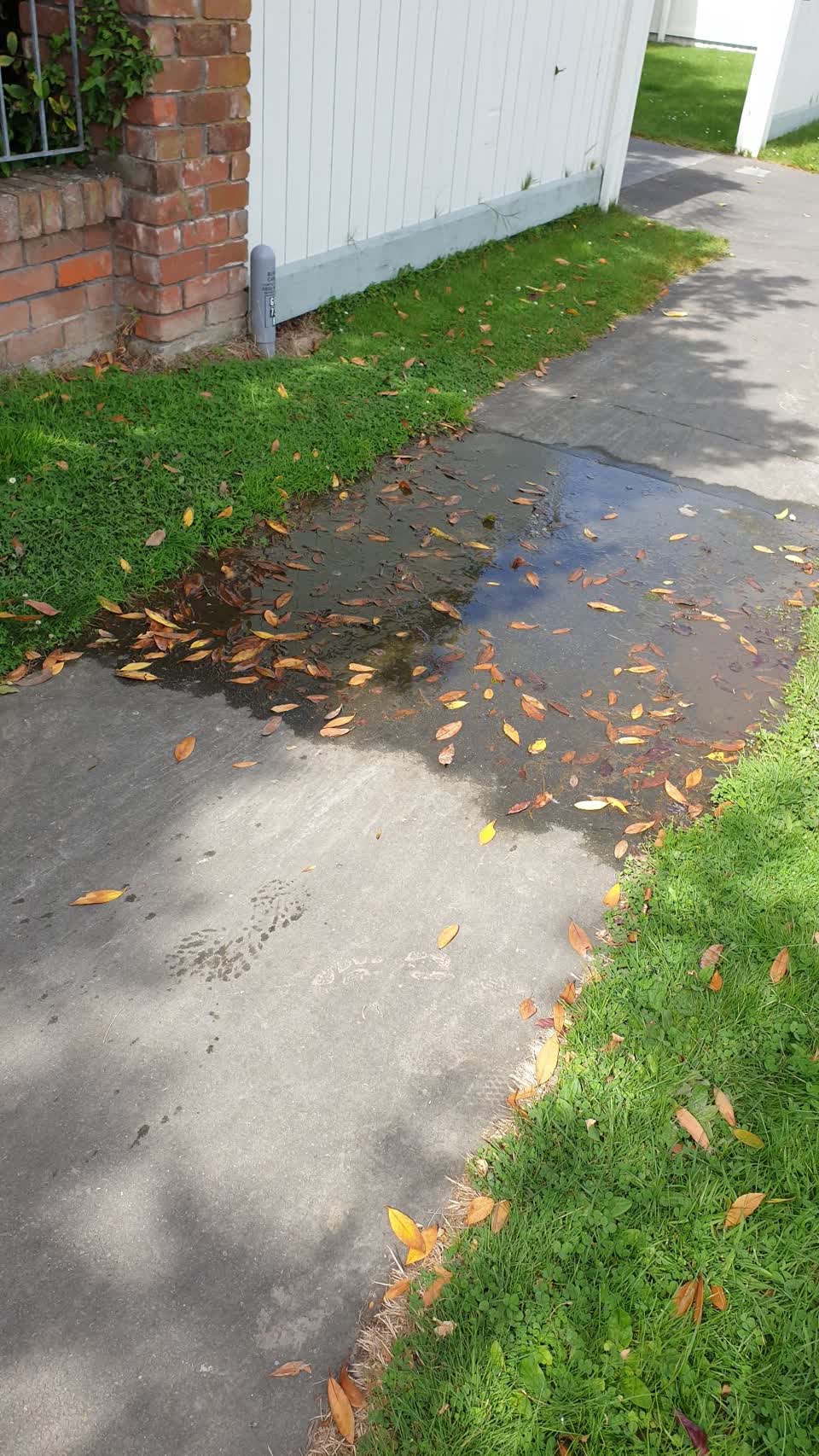 The photograph attached to this water leak report