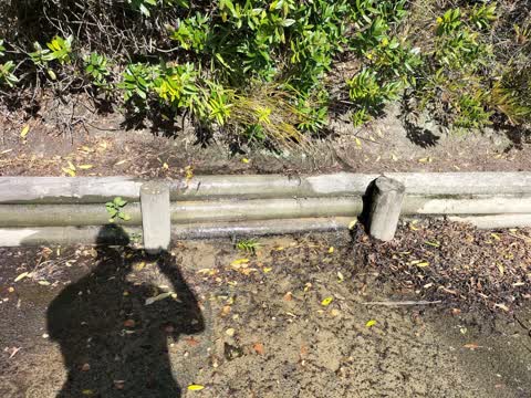 Water Leak, a report photo