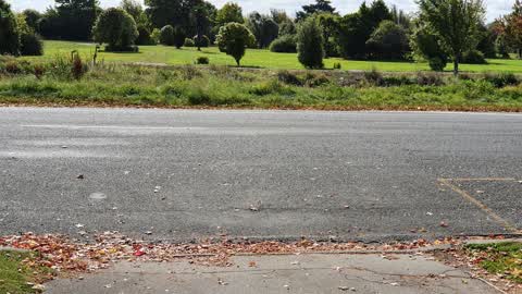 Parks, a report photo