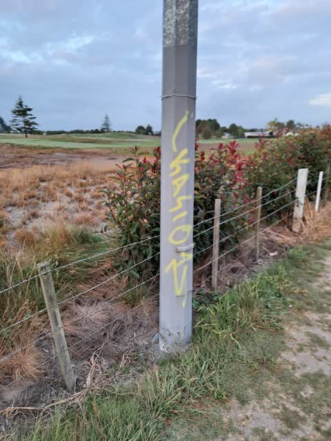 Graffiti, a report photo