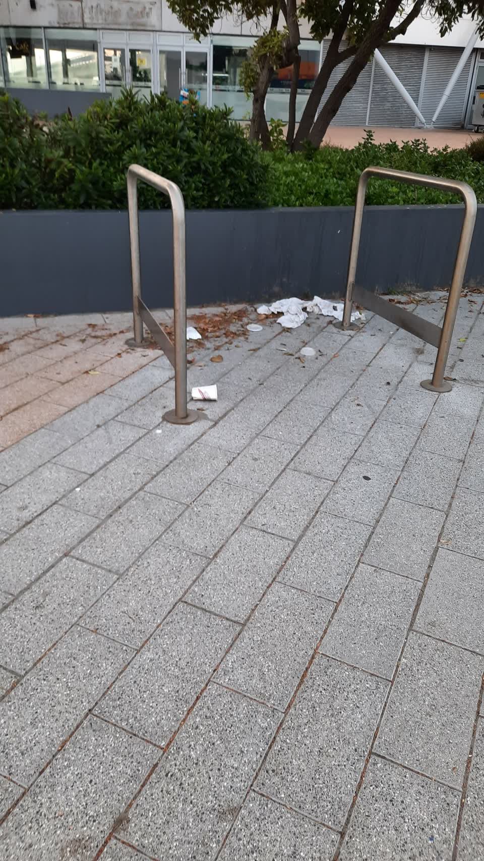 The photograph attached to this parks report