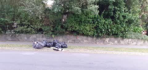 Rubbish/Recycling, a report photo