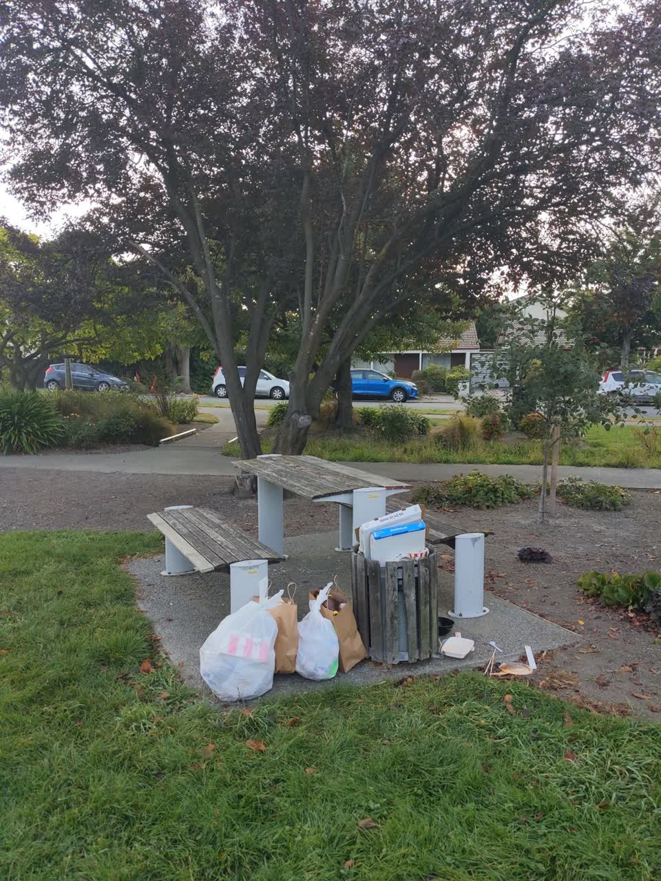 The photograph attached to this rubbish/recycling report