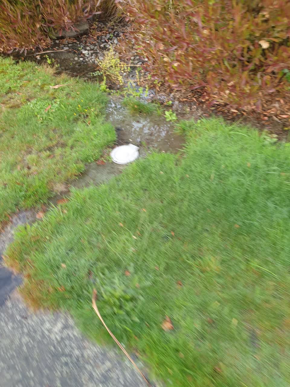 The photograph attached to this water leak report