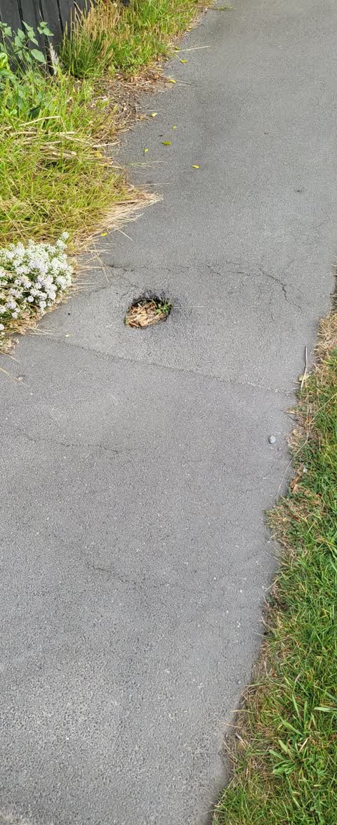 Roading/Streets, a report photo