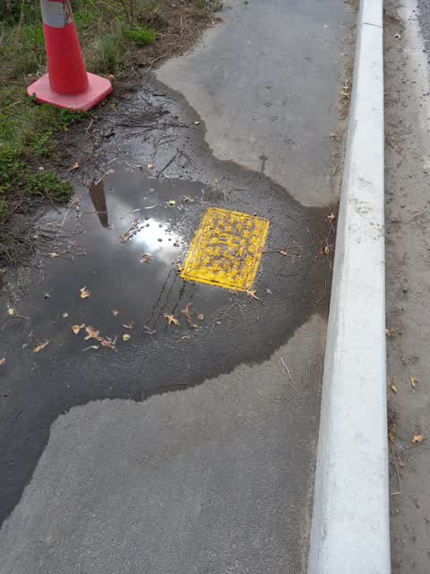 Water Leak, a report photo
