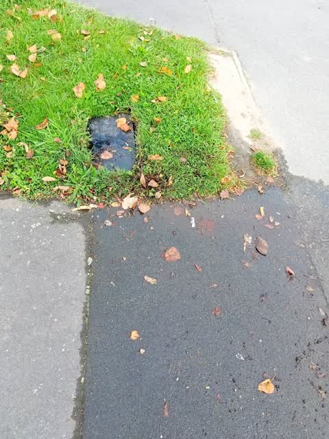 Water Leak, a report photo