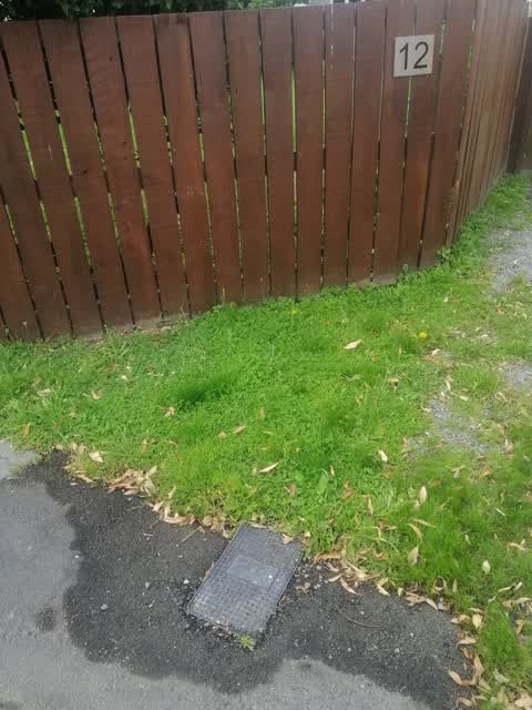 Water Leak, a report photo