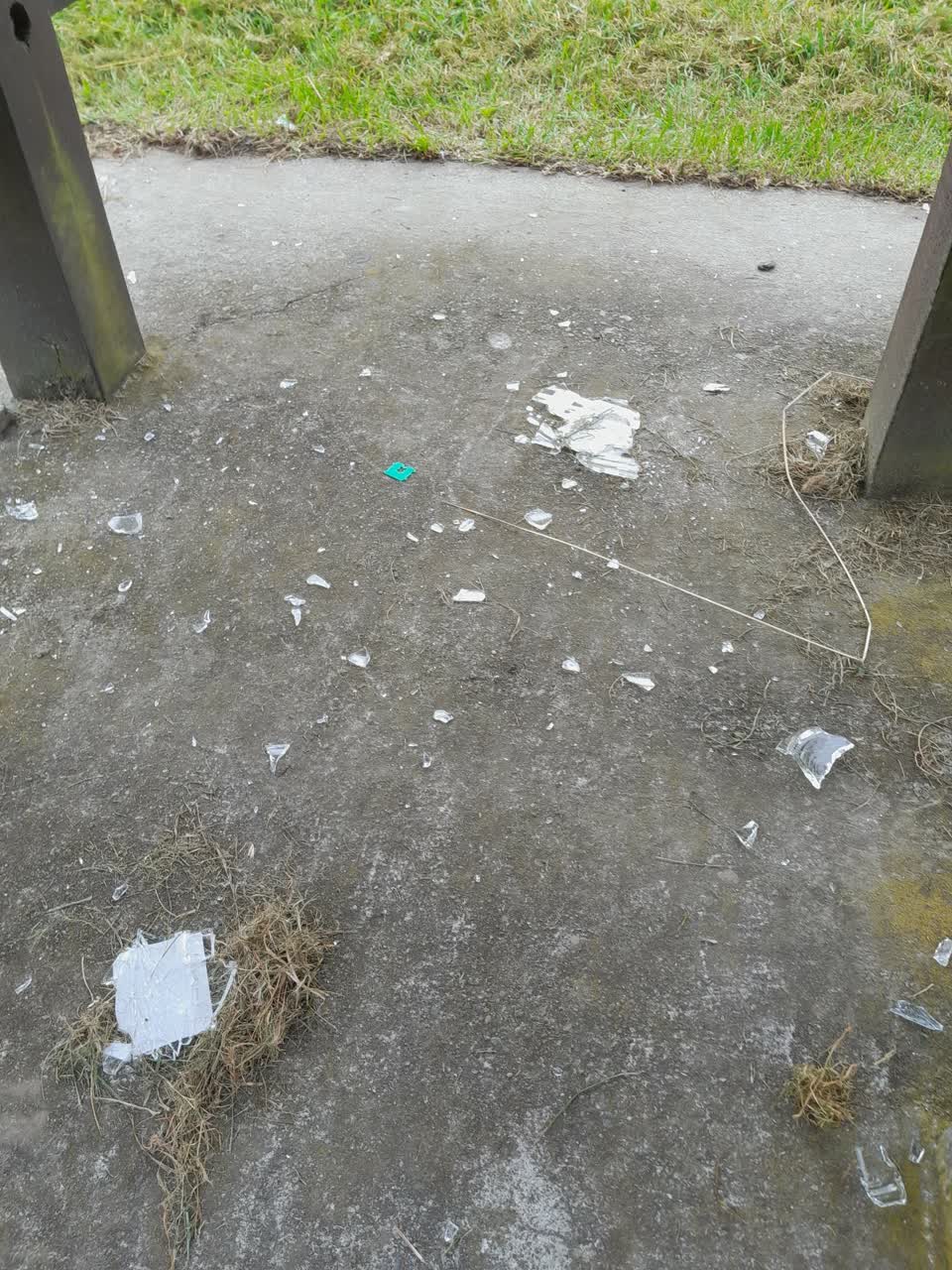 The photograph attached to this parks report