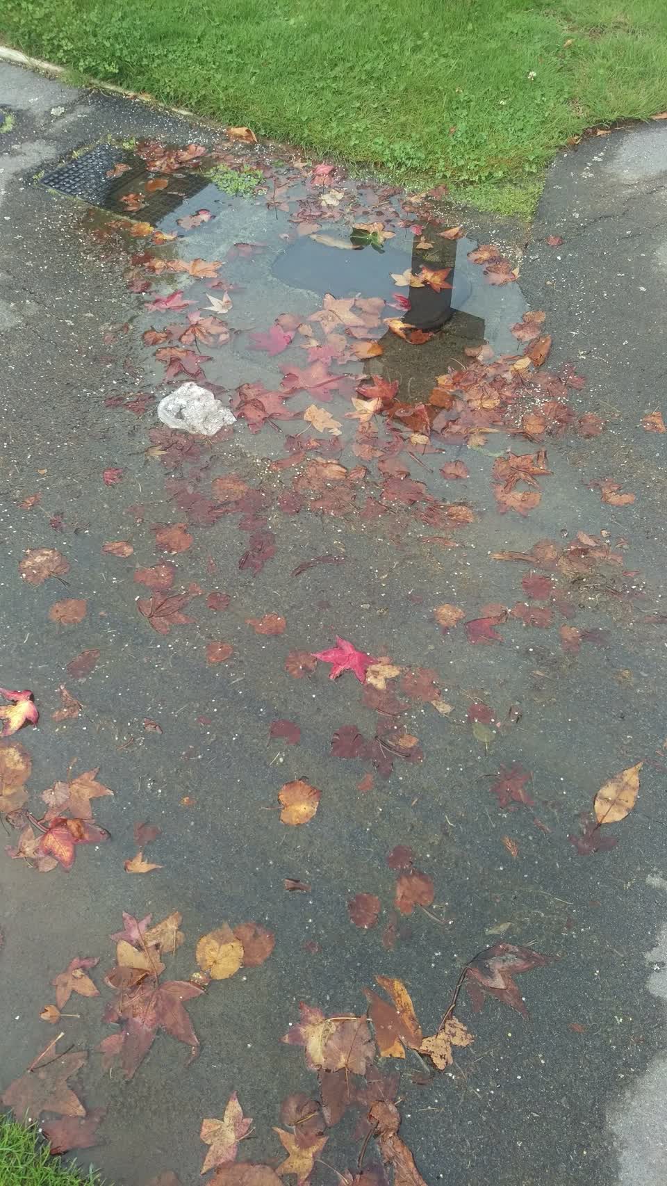 The photograph attached to this water leak report