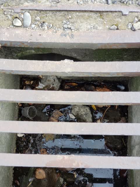 Roading/Streets, a report photo