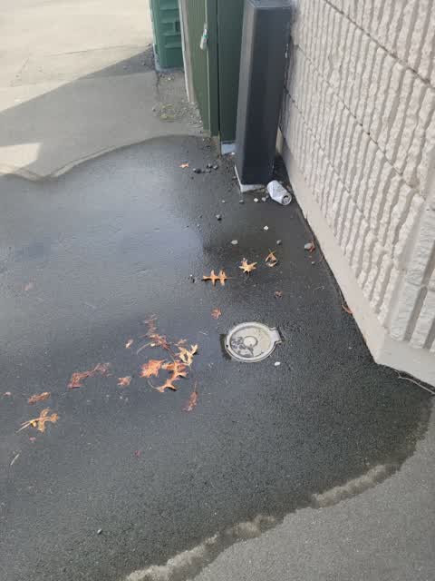 Water Leak, a report photo
